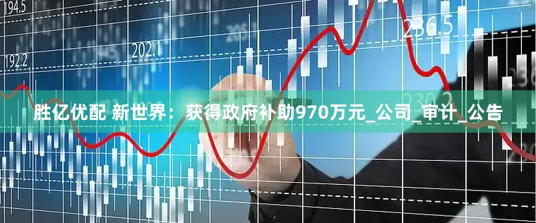 胜亿优配 新世界：获得政府补助970万元_公司_审计_公告