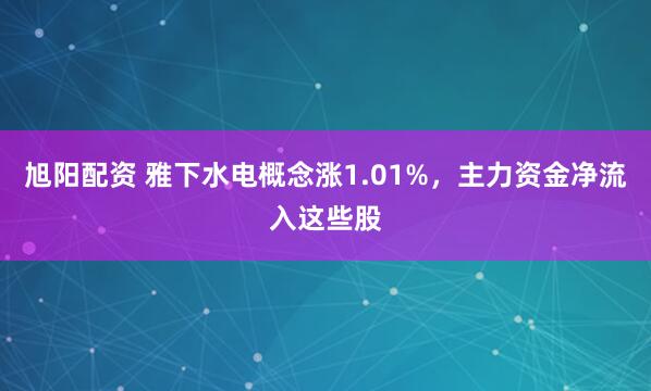 旭阳配资 雅下水电概念涨1.01%，主力资金净流入这些股