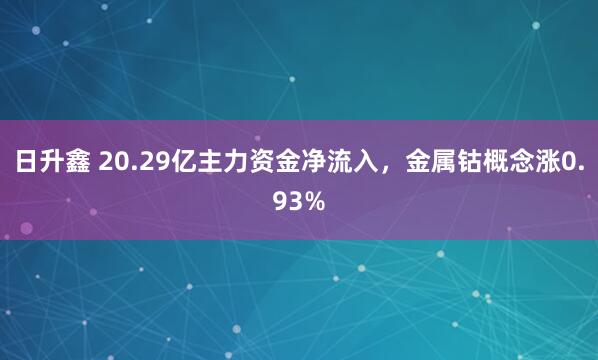 日升鑫 20.29亿主力资金净流入，金属钴概念涨0.93%