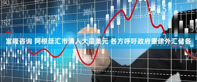 富隆咨询 阿根廷汇市涌入大量美元 各方呼吁政府重建外汇储备